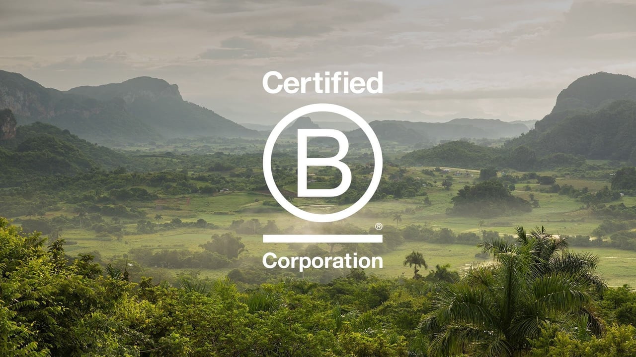 B Corp logo